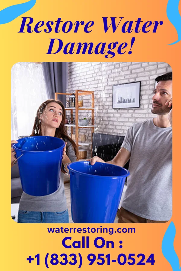 water restoration National Water Damage Inc Farina
