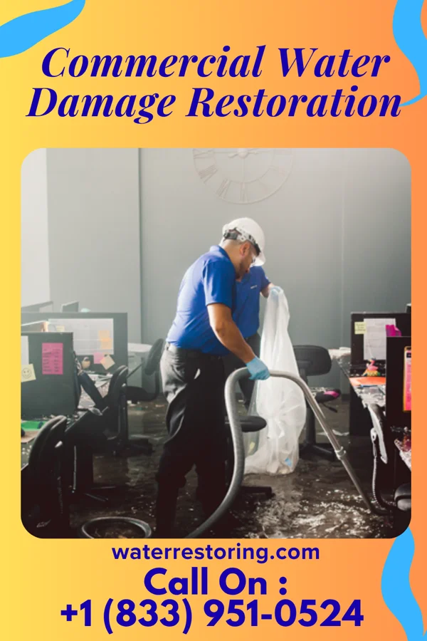 Commercial Water Damage Restoration in Farina, IL