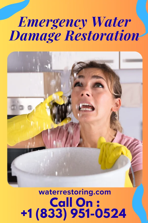 Emergency Water Damage Restoration in Farina, IL