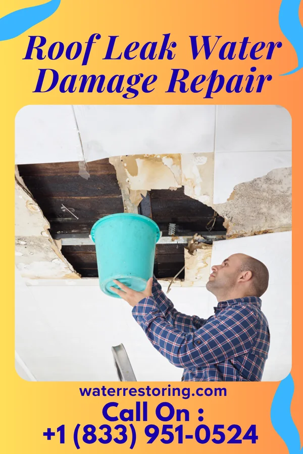 Roof Leak Water Damage Repair in Farina, IL